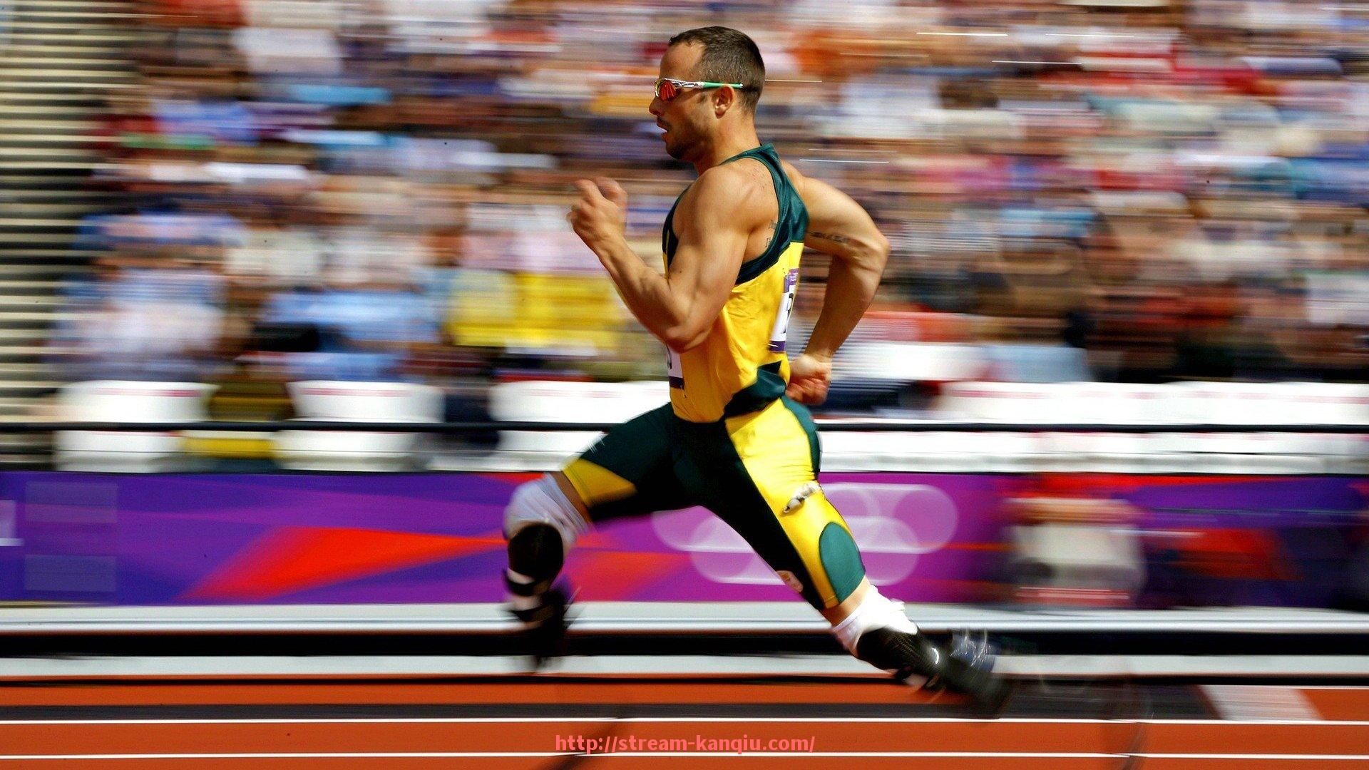 看球直播-户外健身器材采购建议与居民区适用性分析